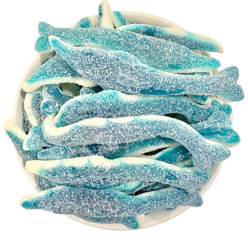 Big Sour Fizzy Dolphin