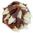 Red Band Cola Winegum Fish (Vegan)